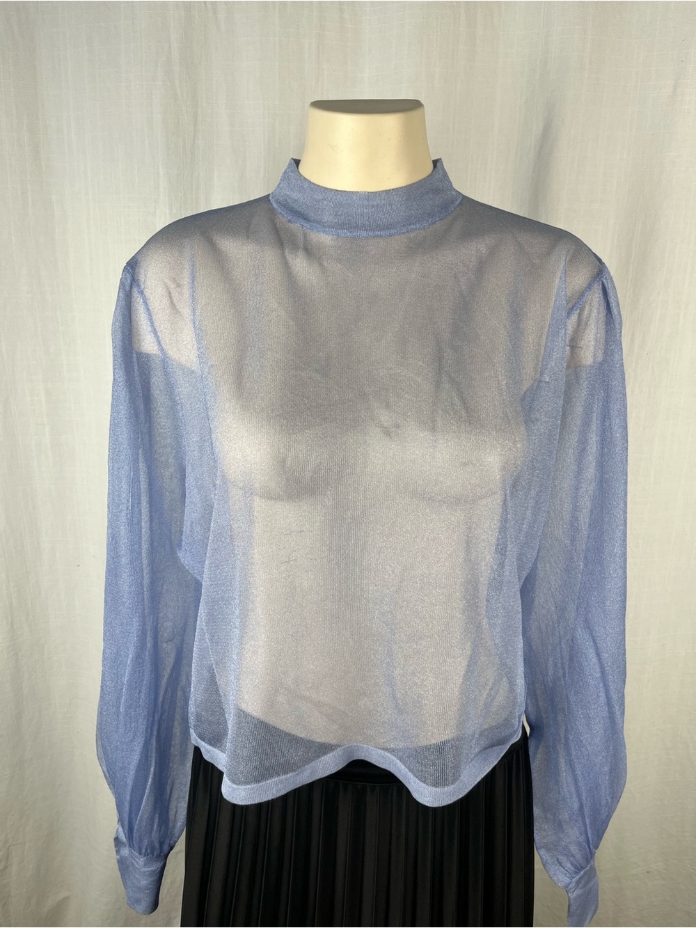 Zara Light Blue Sheer Mock Neck Long-Sleeve Top